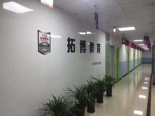 平湖市校外培訓(xùn)機(jī)構(gòu)白名單公布 聚焦藝術(shù)類營利性民辦機(jī)構(gòu)，為家長選擇保駕護(hù)航